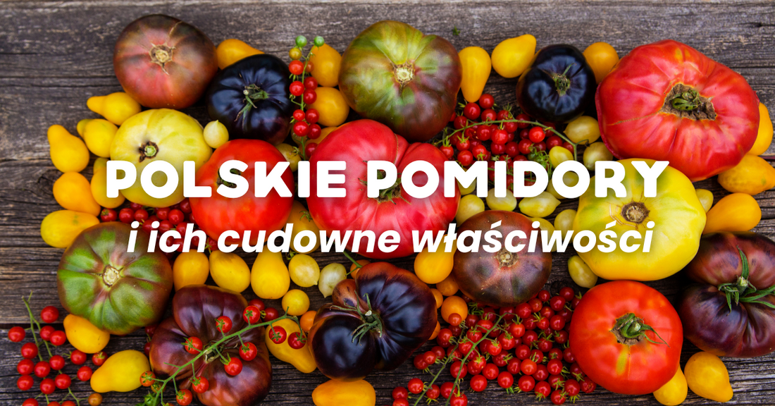 Pomidory i ich cudowne właściwości