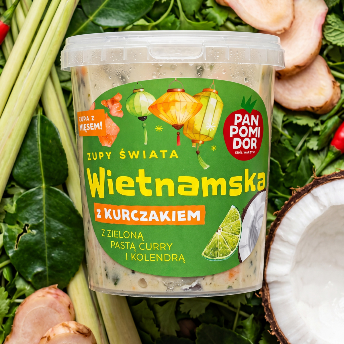 zupa wietnamska z kurczakiem z zieloną pastą curry i kolendrą pan pomidor